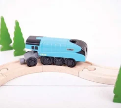 BigJigs Battery Operated Mallard Engine