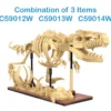CaDA Dinosaur Fossils - Full Set with Eggs