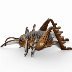 Eugy 119 Giant Wētā Card 3D Puzzle