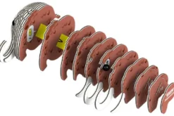 Eugy 031 Mammoth Card 3D Puzzle