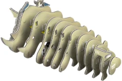 Eugy 076 Rhino Card 3D Puzzle