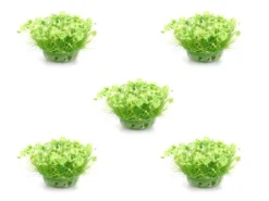 Gaugemaster Field Plants 6mm Grass Tufts (42)