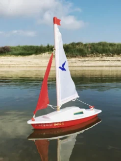 Gunther Captain Hook Sailing Boat