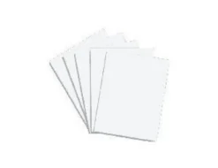 Javis 10/000 White Building Card 9x12