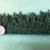 K+M Model Country Hedge 170MM