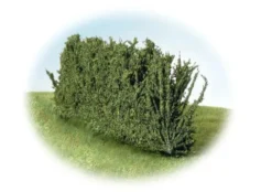 K+M Model Country Hedge 170MM