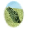 K+M Model Single Hedge 150MM