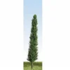 K+M Model Trees 125 Single Poplar Model Tree