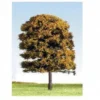 K+M Model Trees 125mm Single Deciduous Mixed Colour Model Tree