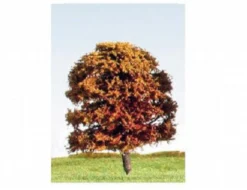 K+M Model Trees 70mm Single Deciduous Mixed Colour Model Tree