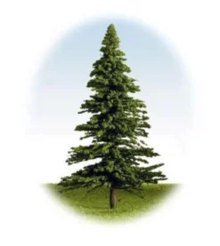 K+M Model Trees 125mm Single Fir Model Tree