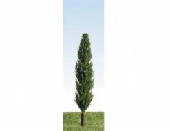 K+M Model Trees 90mm Single Poplar Model Tree