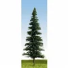 K+M Model Trees 175mm Single Fir Model Tree