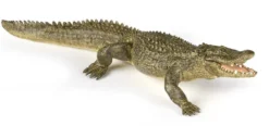 Papo Toys Alligator