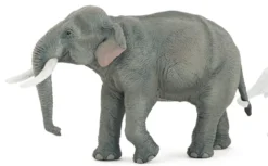 Papo Toys Asian Elephant