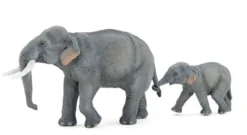 Papo Toys Asian Elephant