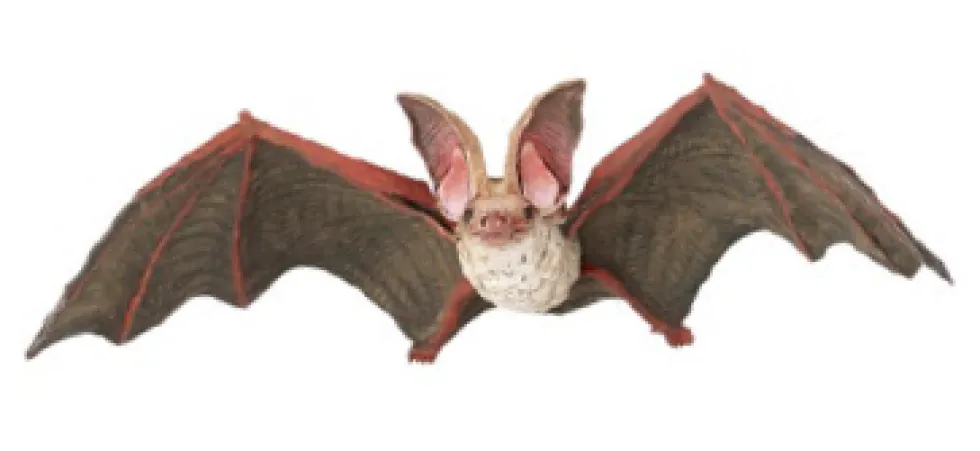Papo Toys Bat