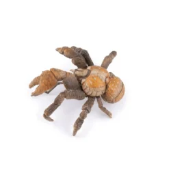 Papo Toys Coconut Crab