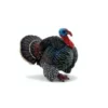 Papo Toys Turkey