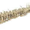 Perry Miniatures 28mm Wars of the Roses Infantry 1455-1487