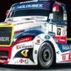 Tamiya RC 1/14 Buggyra Fat Fox Racing Truck TT-01E