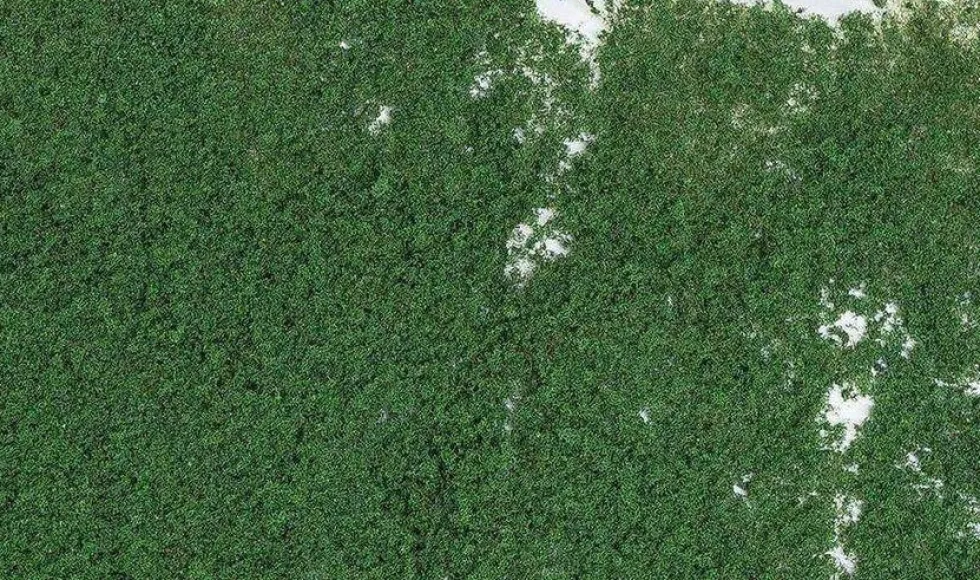 Woodland Scenics Dark Green Foliage